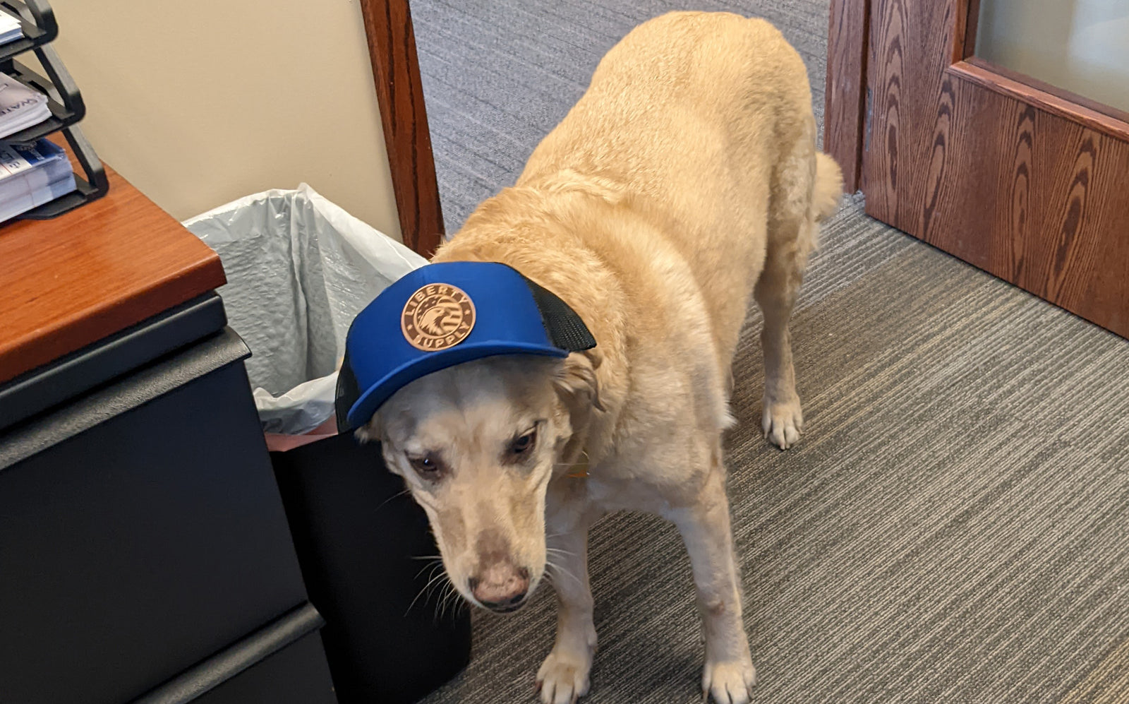 The Best Kind of Office Visits