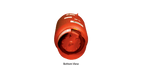 Taco Bladder Expansion Tanks