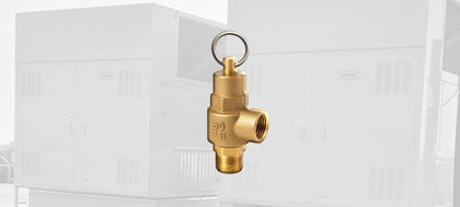 AAON Relief Valves
