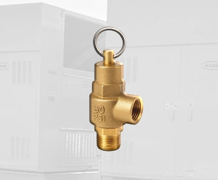 AAON Relief Valves