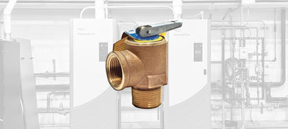 AERCO Relief Valves