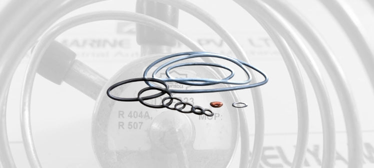 alco-controls-seals-gaskets.webp
