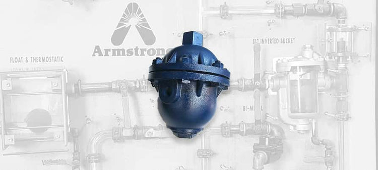 Armstrong 71-315 Series Liquid Drainers