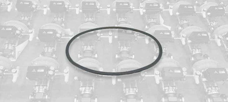 armstrong-liquid-drainer-gaskets.jpg