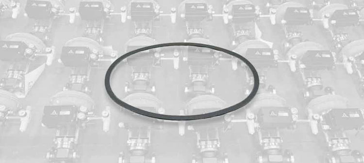 Armstrong Pump Trap Body Gaskets