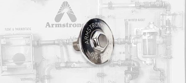 armstrong-steam-trap-capsules.jpg