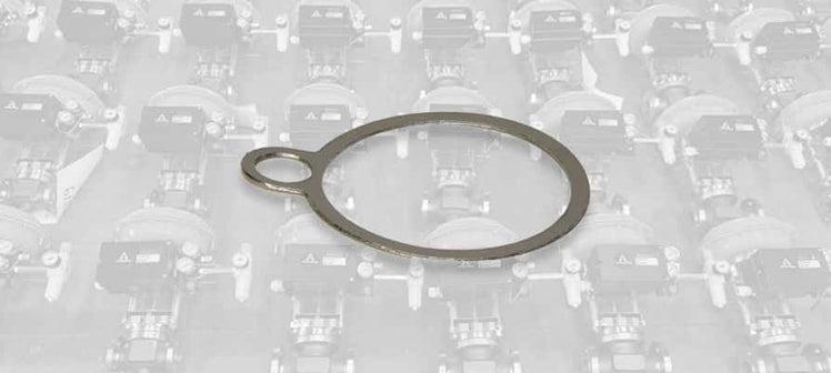 armstrong-steam-trap-gaskets.jpg
