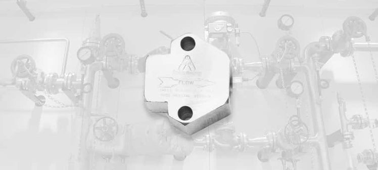 armstrong-steam-trap-nuts-bolts.jpg