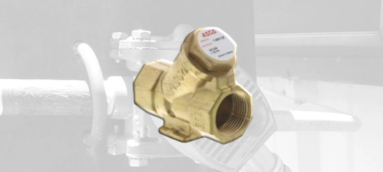 asco-check-valves.webp