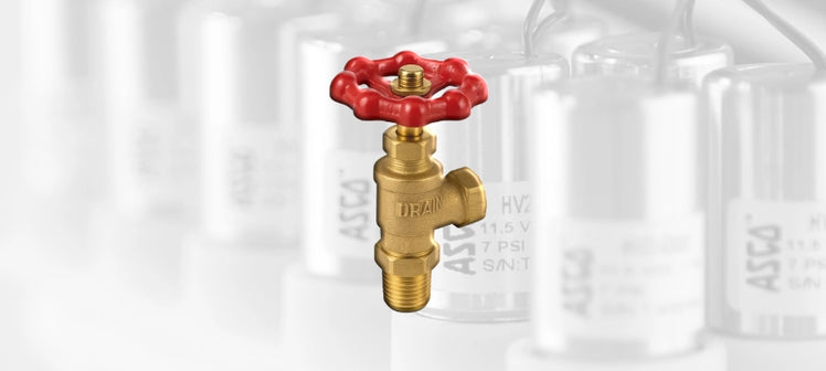 asco-drain-valves.webp
