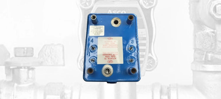 asco-pumps.webp