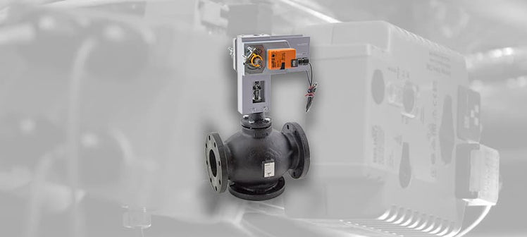 belimo-globe-valves.jpg