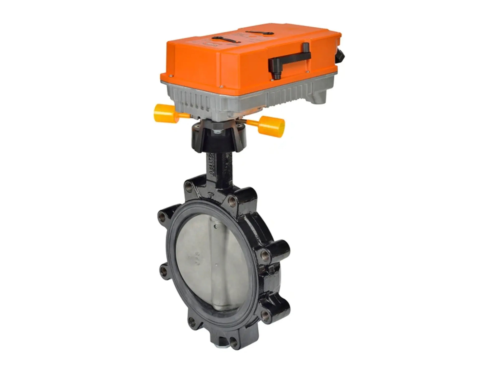 Belimo F6300L+PRXUP-MFT-T, 12" Two-Way Non-Spring Return, 120V MFT Nema4XH