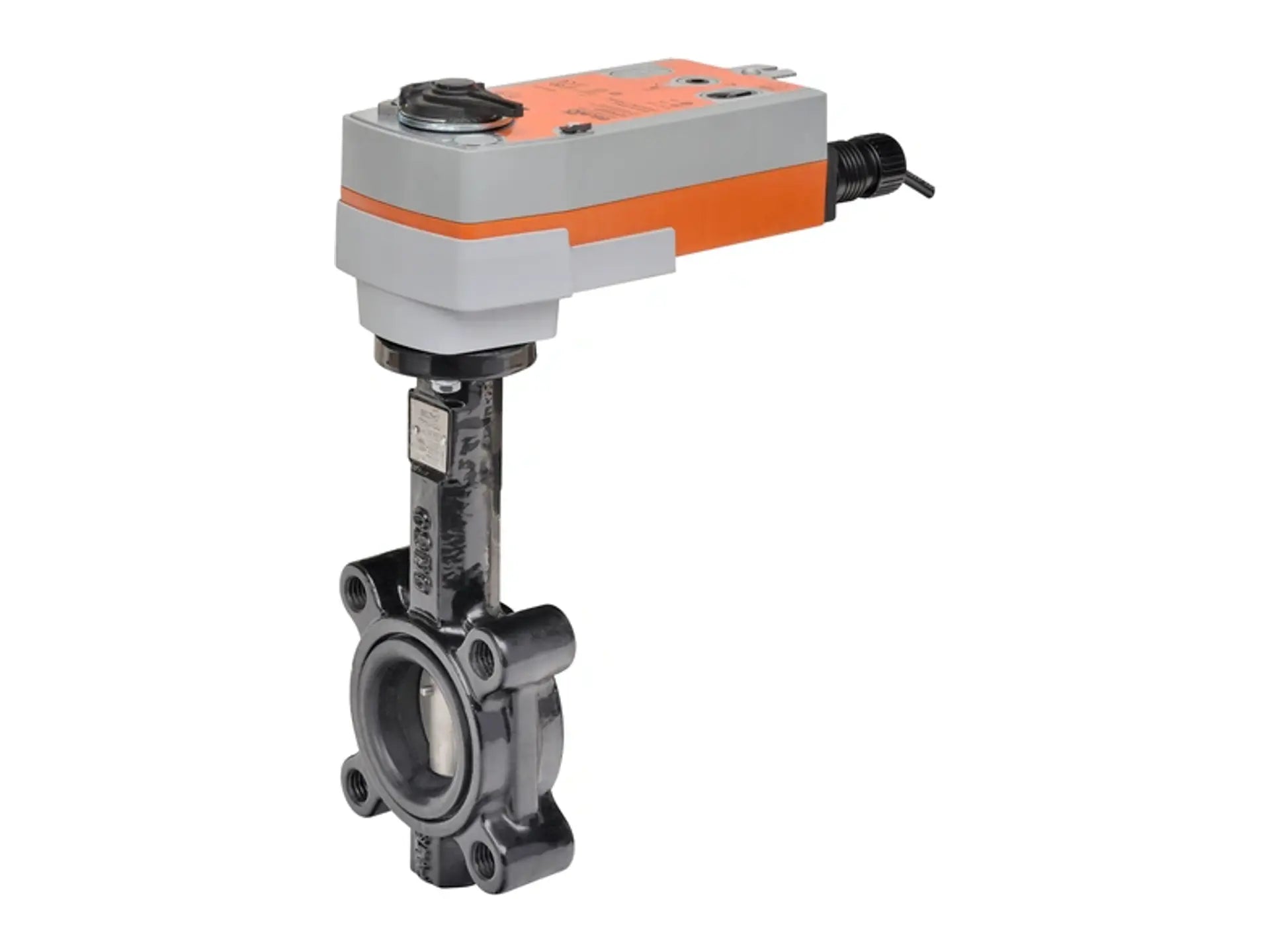 Belimo F665HD+AFRXUP, 2.5" Butterfly Valve SR, 24-240V AC/DC, Two Position