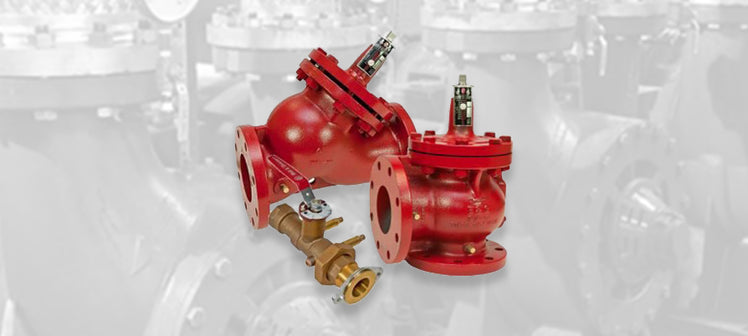 bell-gossett-pump-triple-duty-valves.jpg