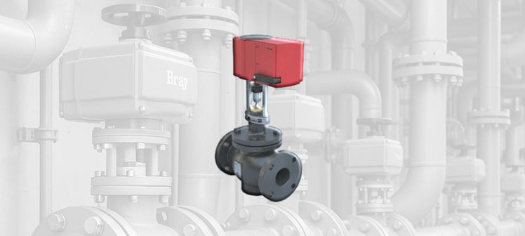 bray-commercial-globe-valves.webp