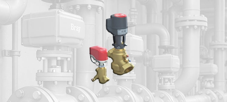 bray-commercial-pic-valves.webp