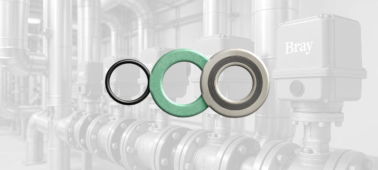 bray-commercial-seals-gaskets.webp