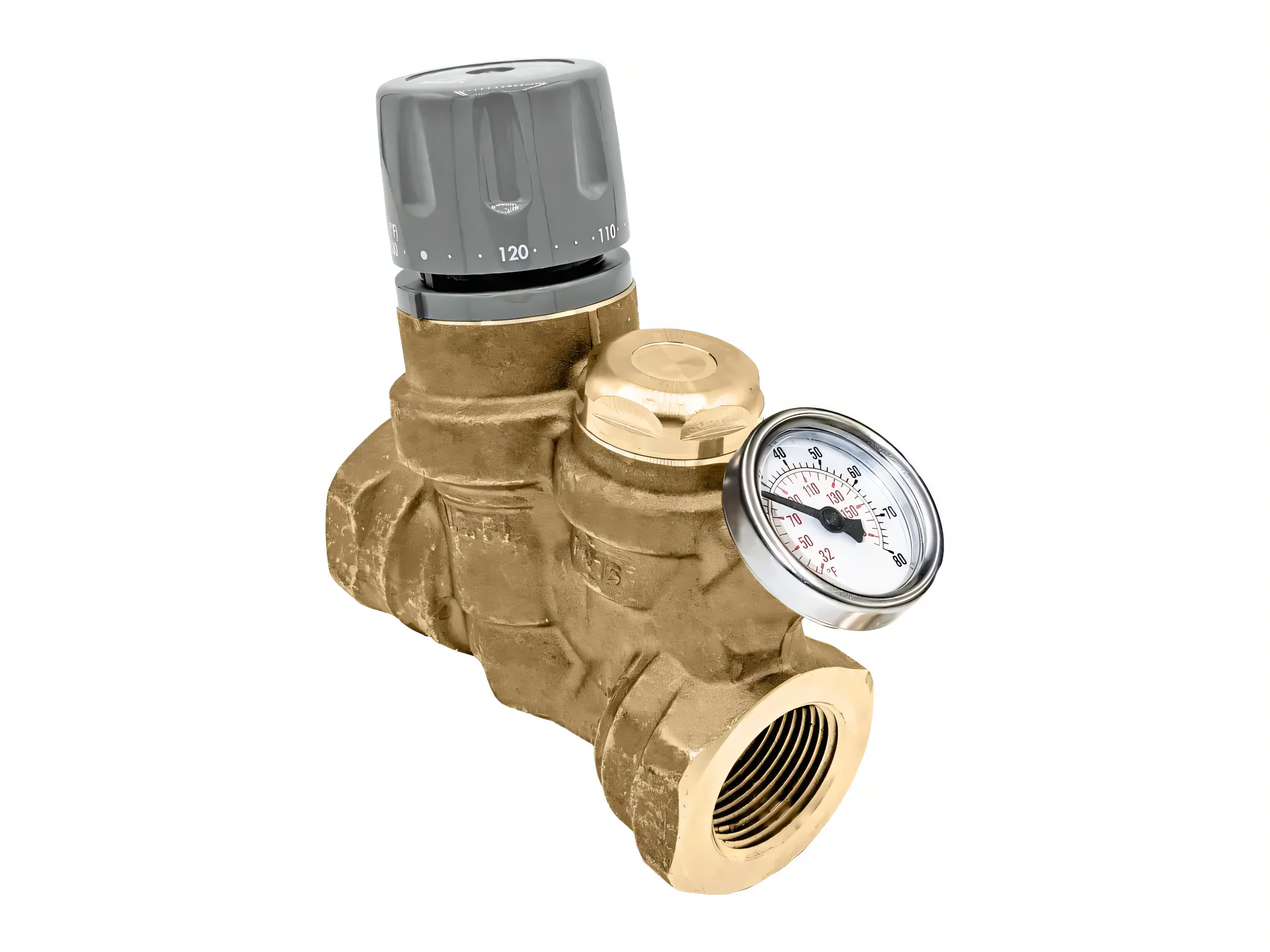 Caleffi 116161A, 1" FNPT Gauge