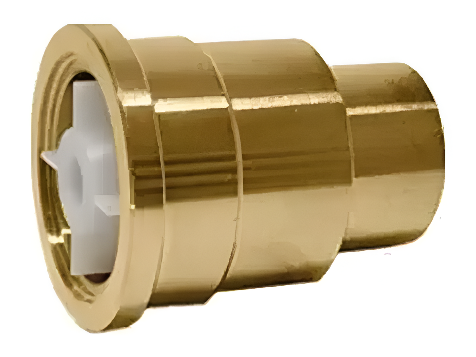 Caleffi 59904A, 1/2" SWT Fitting with Check Valve