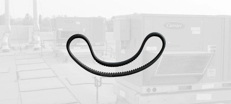 carrier-belts.webp