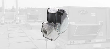 Carrier Gas Valves
