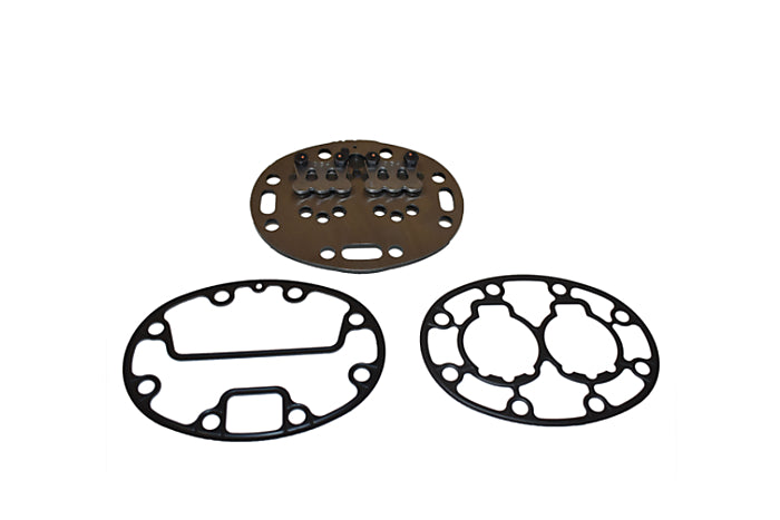 Carrier 06DA660153 Valve Plate Kit