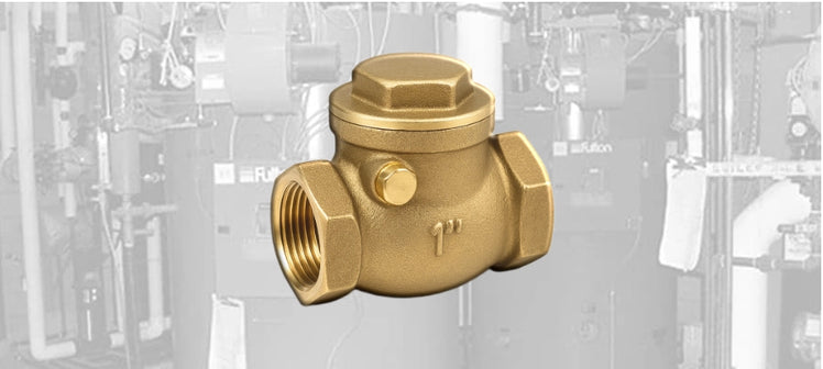 fulton-check-valves.webp
