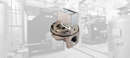 Fulton Gas Valves