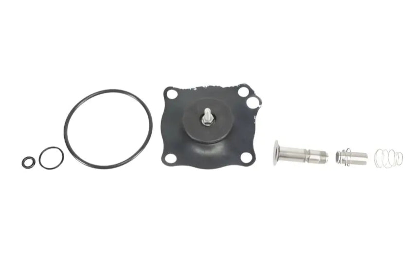 GC Valves KS211AF02N5GJ2, Repair Kit 1.25-2