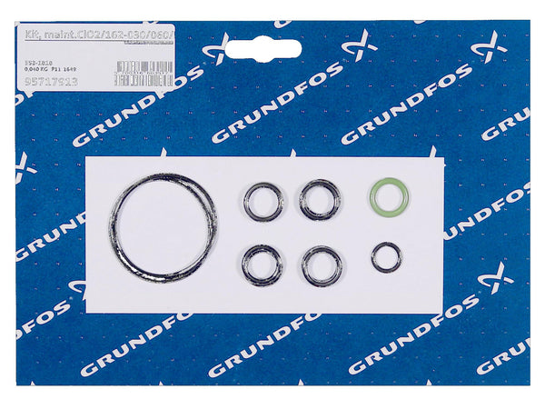 Grundfos 95717913, Maintenance Kit ClO2/162-030/060/FKM Reactor