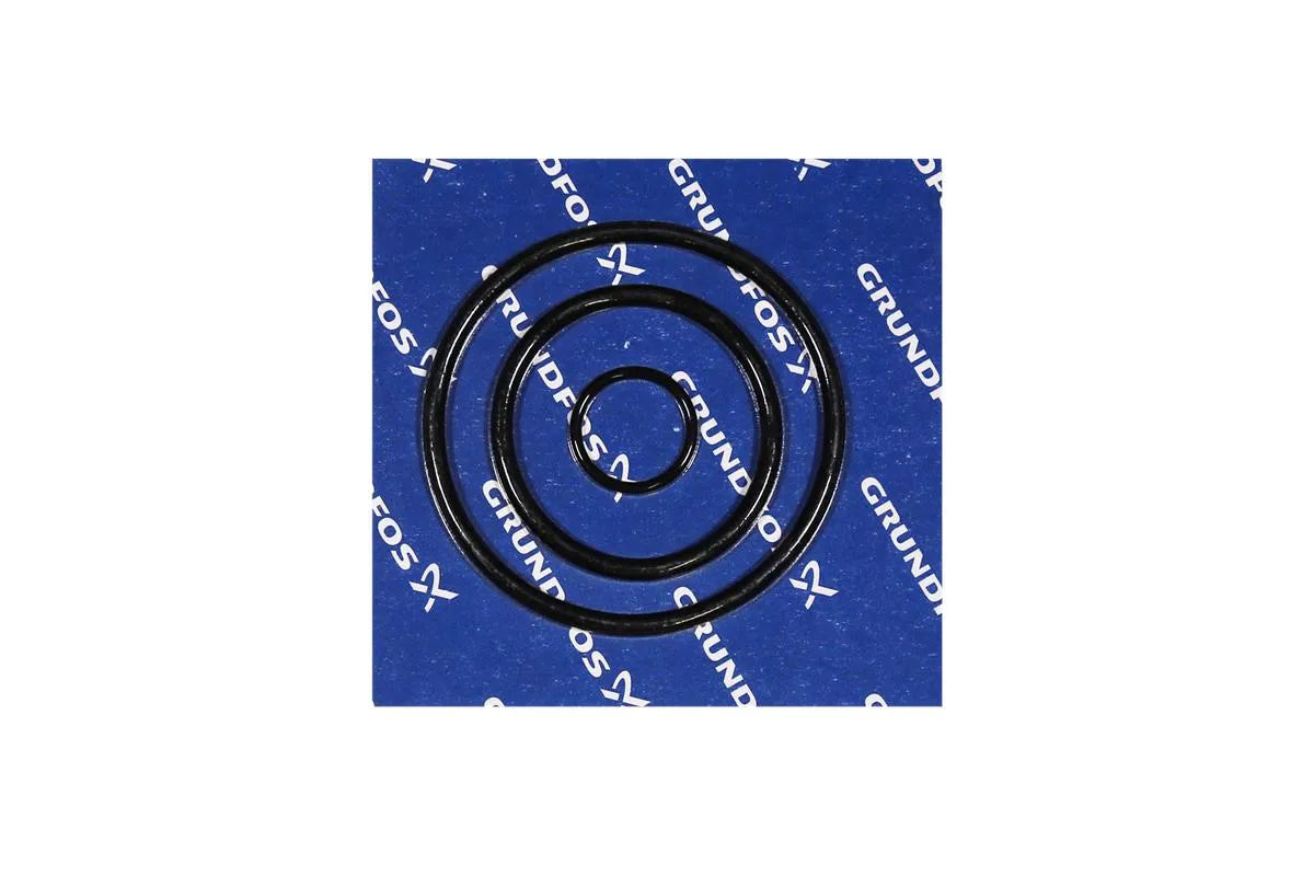 Grundfos 96060539, O-Ring Kit D37154