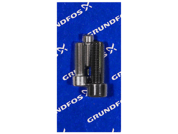 Grundfos 96121643, TP-HP Impeller Screw Kit