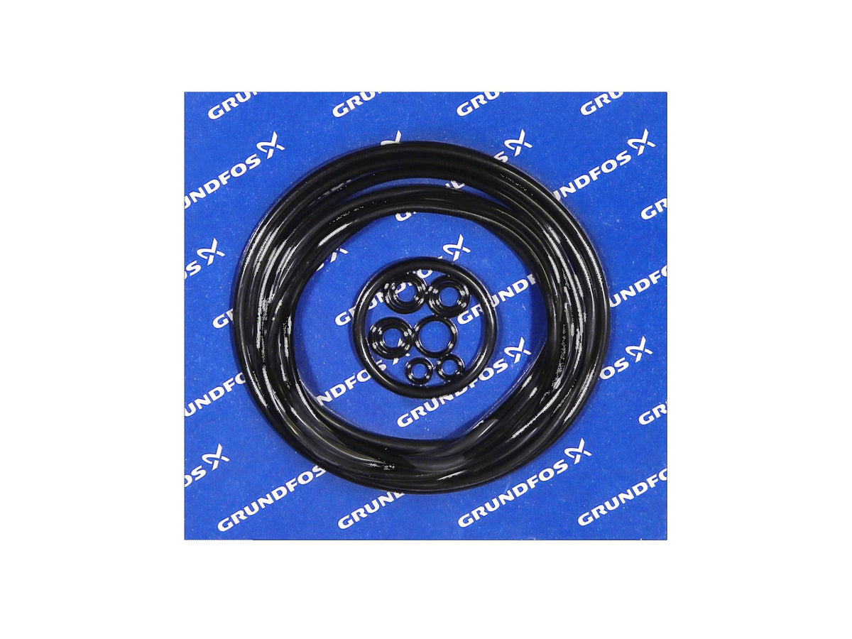 Grundfos 96255889, O-Rings Kit S Fr 42