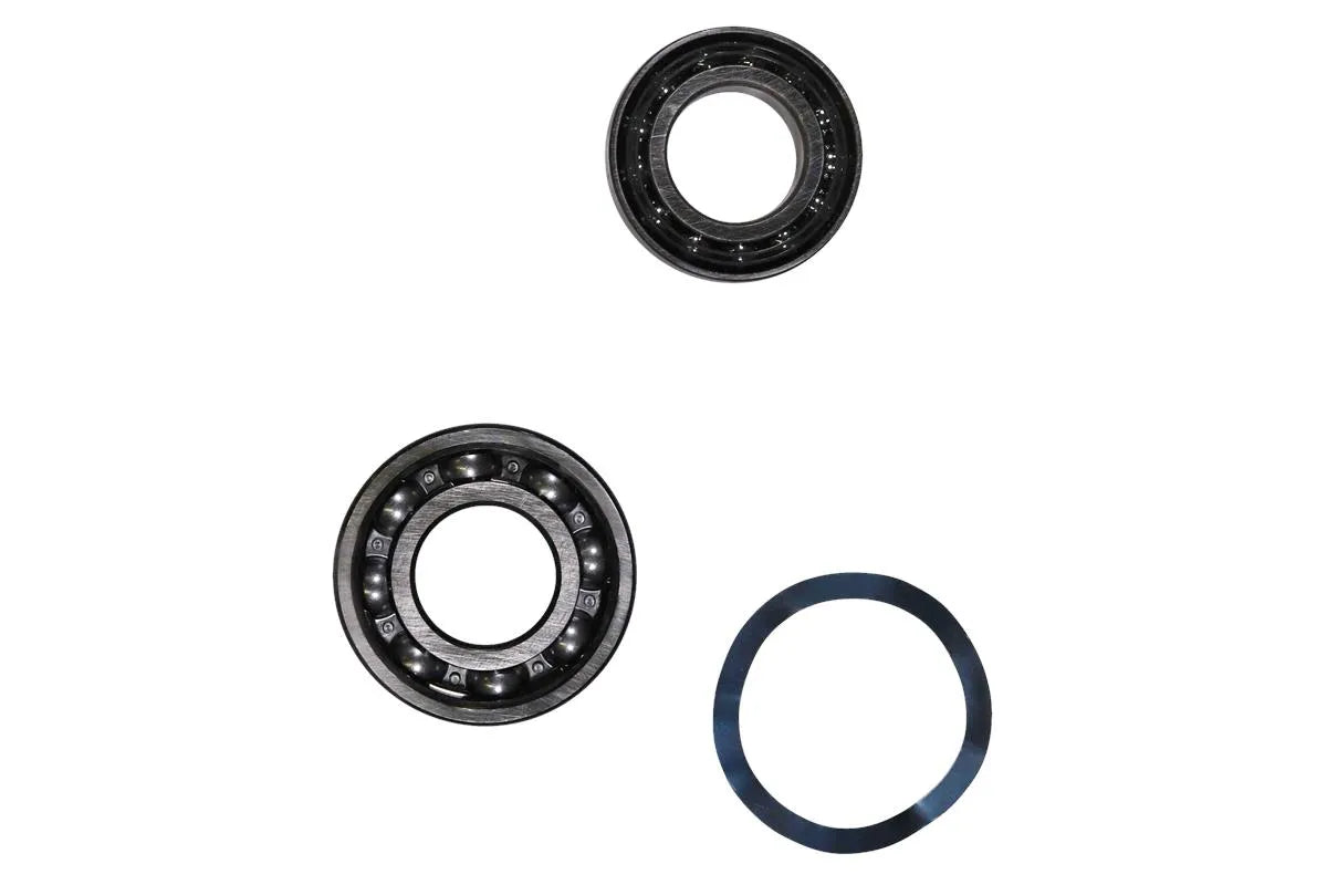 Grundfos 96279872, Ball Bearing Kit 6309.Z.C4/7209.BE_SF