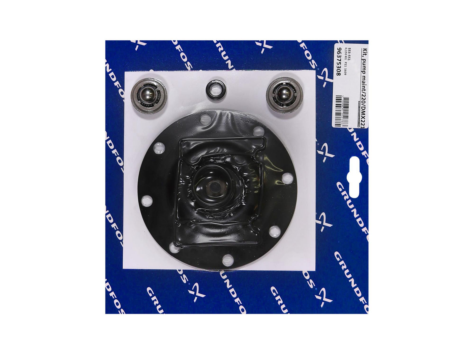 Grundfos 96375308, Maintenance Kit for Pump DMX221-115 SS V SS