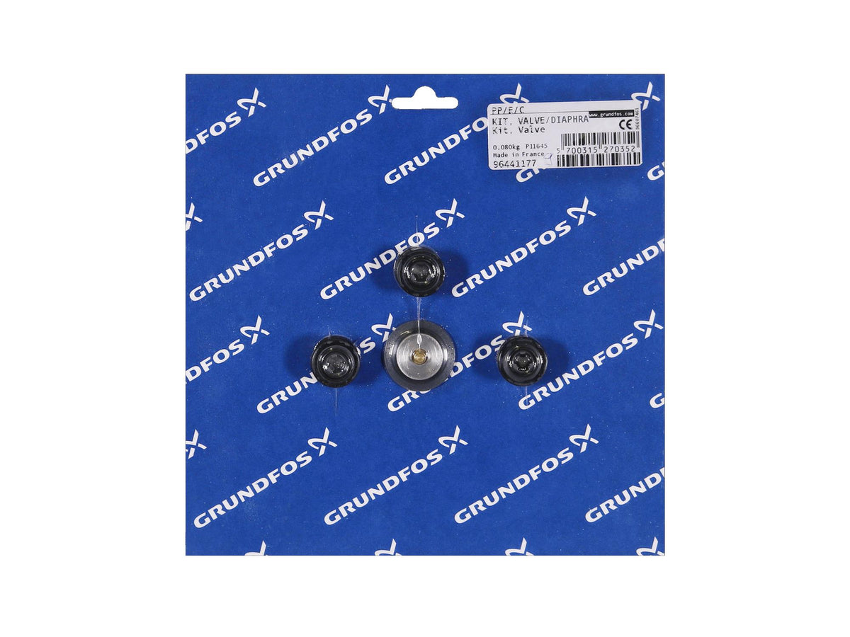 Grundfos 96441177, Valve Diaphragm Kit DMS4 PP E C