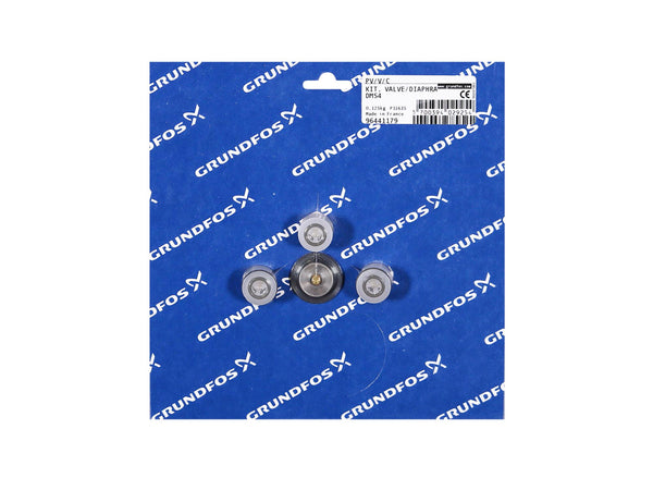 Grundfos 96441179, Valve Diaphragm Kit DMS4 PV V C