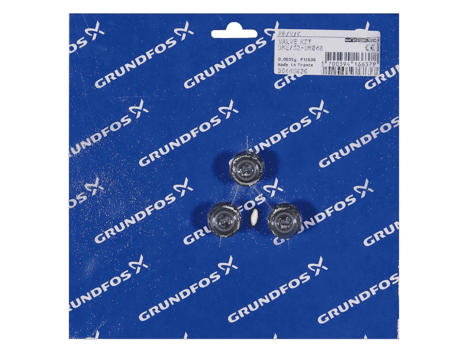 Grundfos 96446836, Valve Kit DME/S2-DME48 PP/V/C