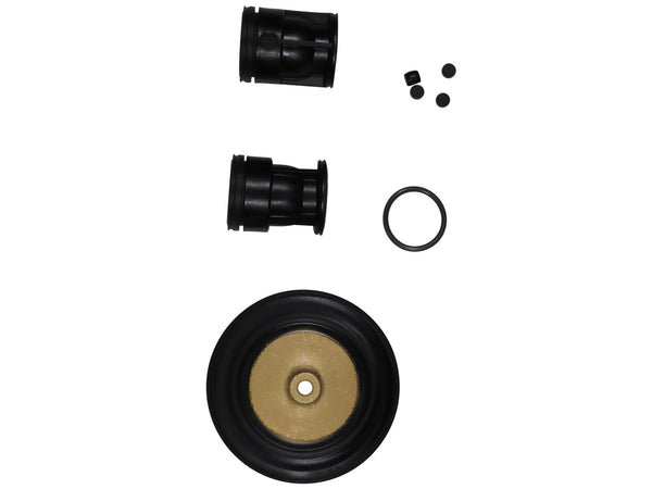 Grundfos 96520381, Valve And Diaphragm Kit DME 375-PP/V/G