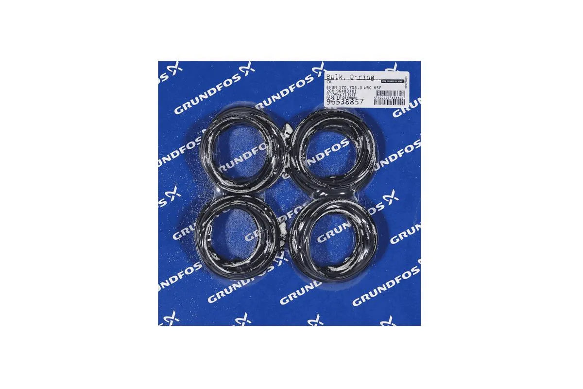 Grundfos 96538857, Bulk Pack O-Ring EPDM 170.7x3.3 WRC NSF