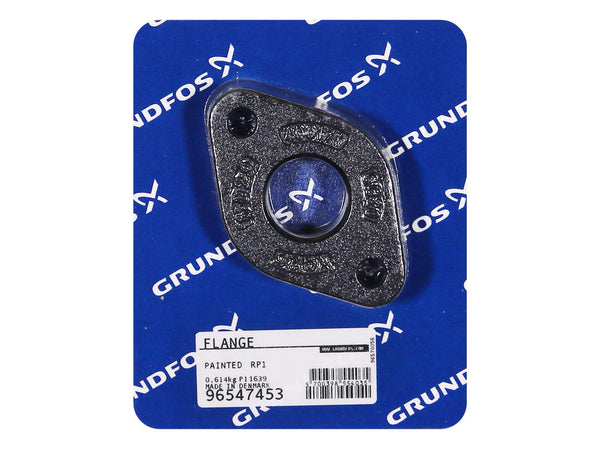 Grundfos 96547453, Flange Painted Rp1