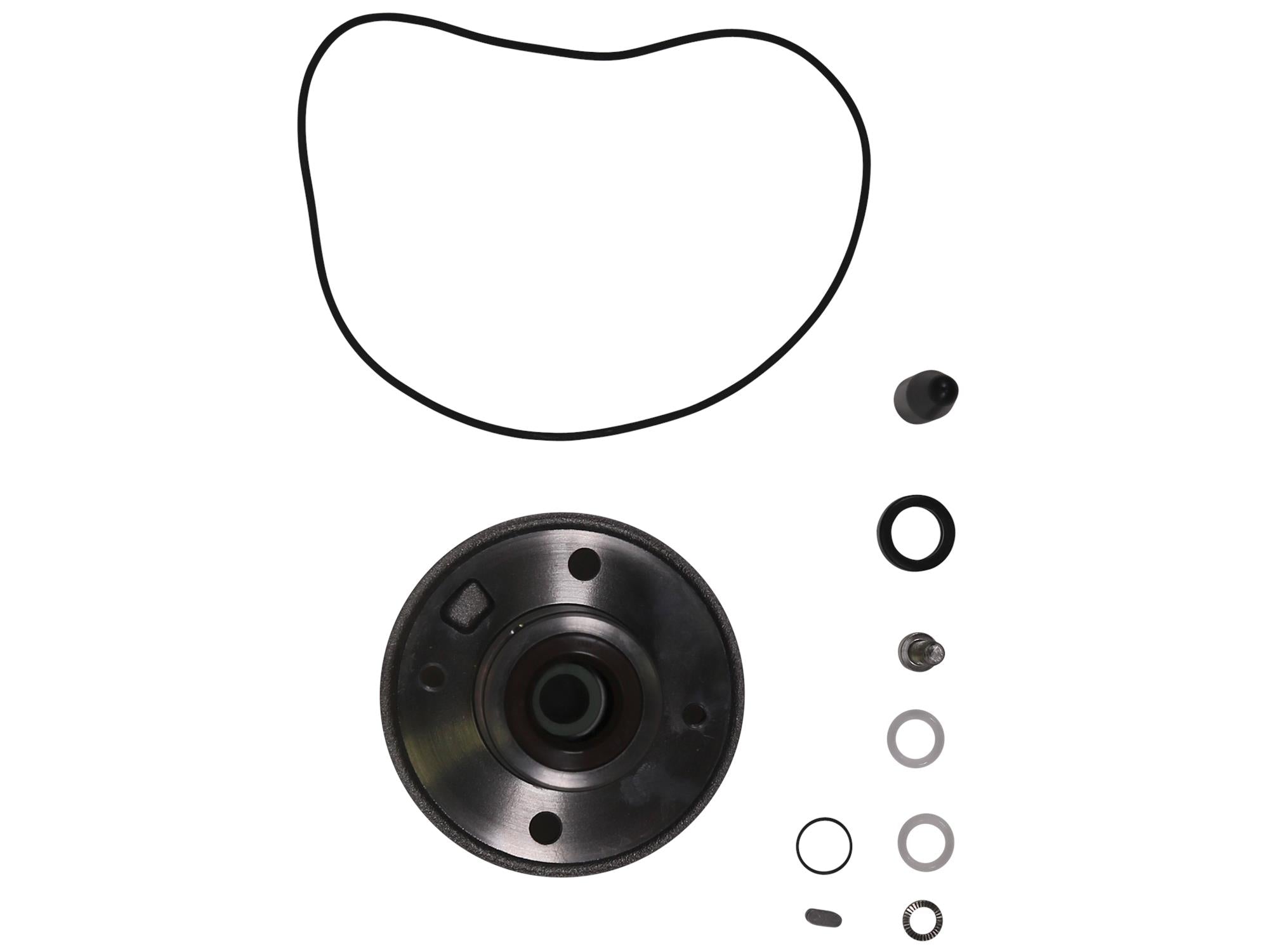 Grundfos 96645160, Shaft Seal Kit, SEG Frame A FKM