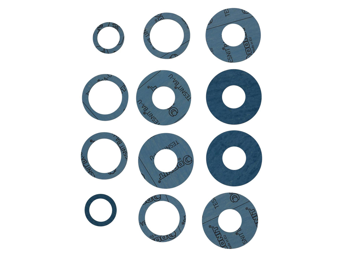 Grundfos 96688715, Gas Gaskets Kit for Cl2 and NH3 Applications