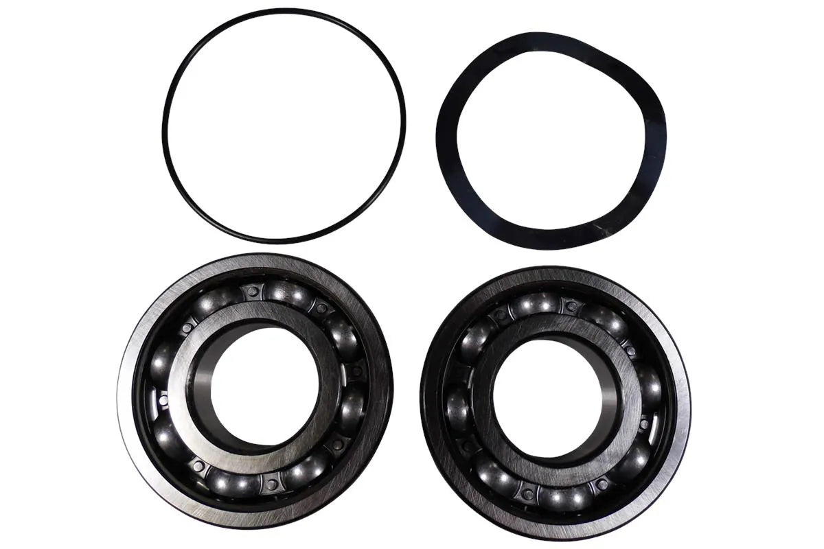 Grundfos 96796674, Ball Bearing Kit 6309.Z.C4/6309.Z.C4