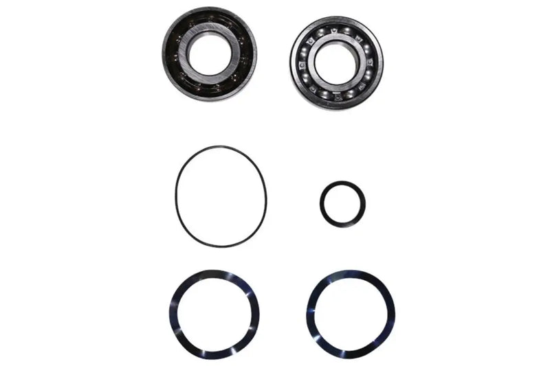 Grundfos 96796676, Ball Bearing Kit 7309 BE/6309 Z C4