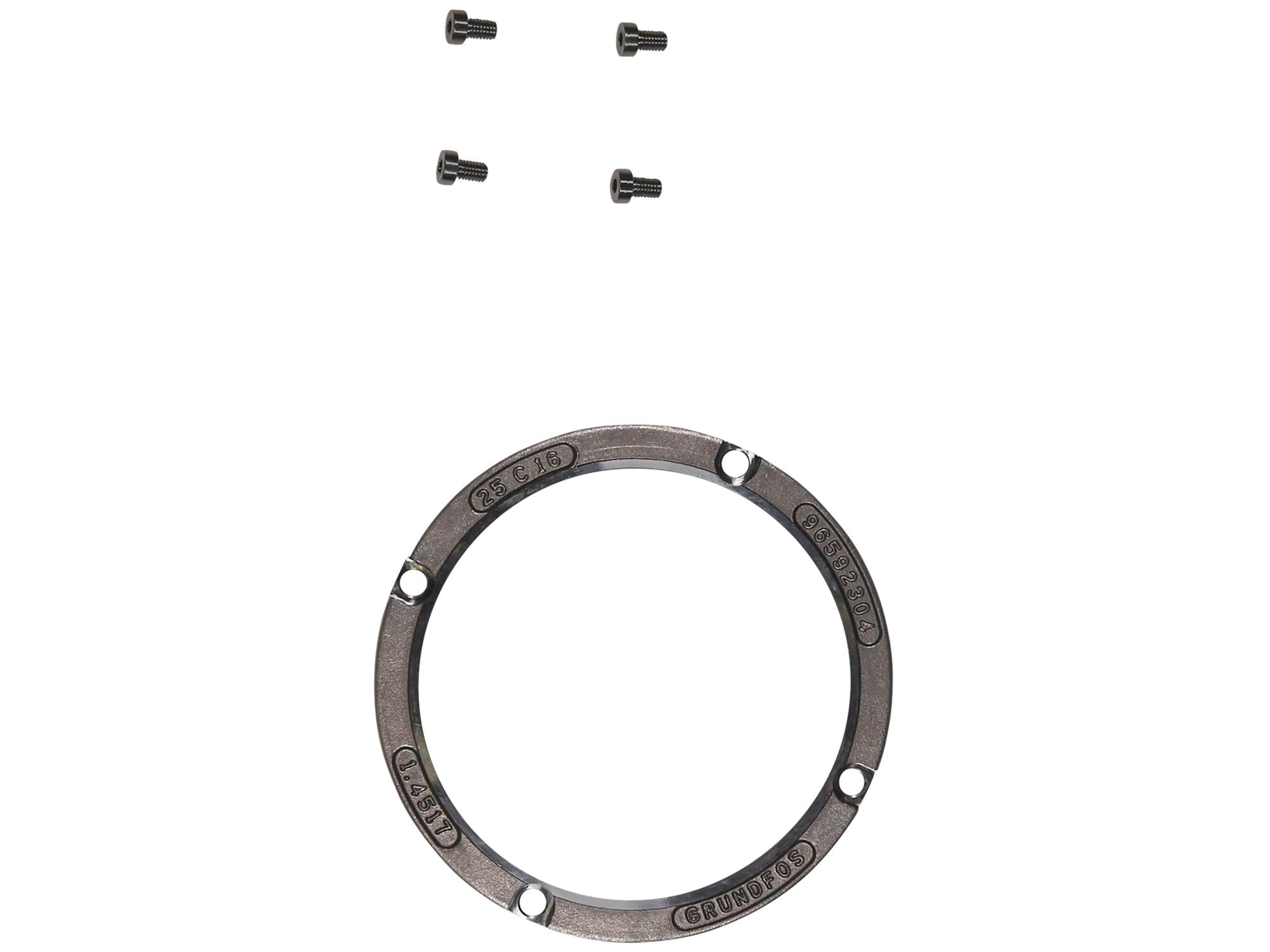 Grundfos 96810138, Wear Ring Kit D100x10 1.4517 M5x8