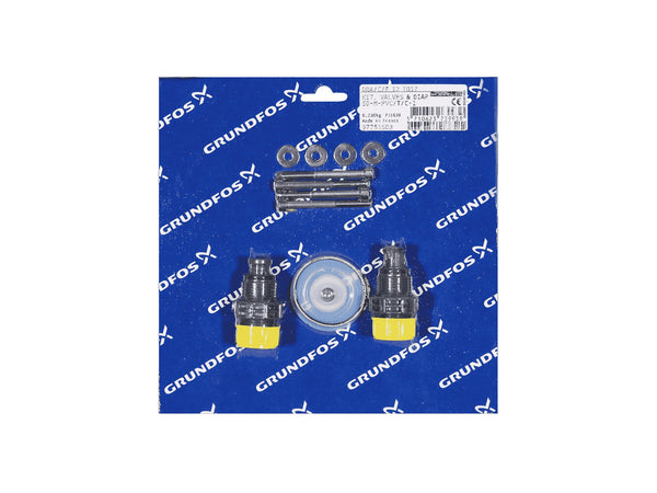 Grundfos 97751503, Valve and Diaphragm Kit SD-M-PVC/T/C-1