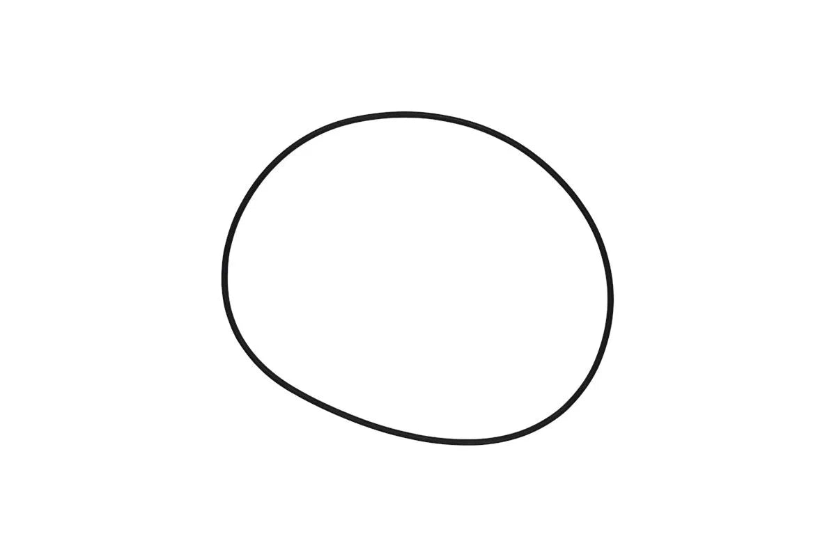 Grundfos 97757659, O-Ring EPDM 171.04x3.53