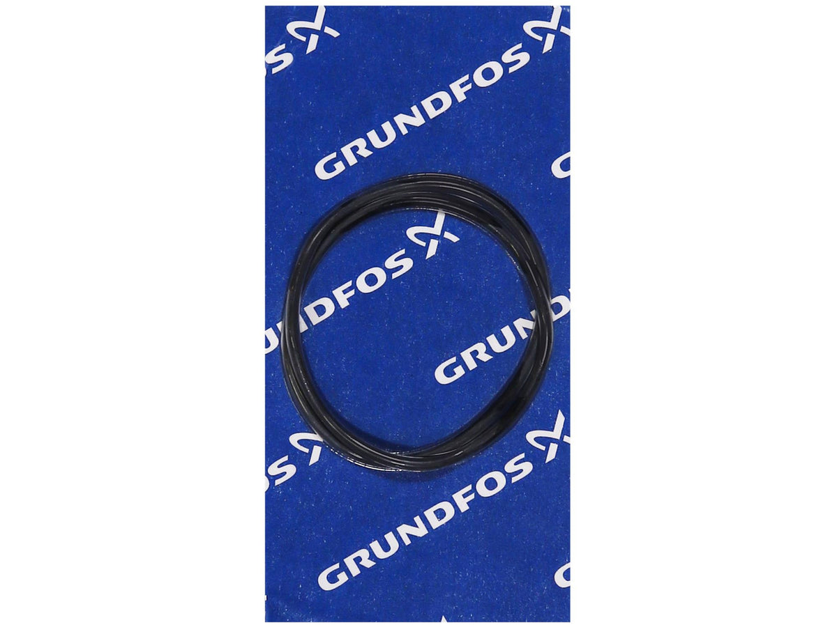 Grundfos 97757693, O-ring EPDM 129.5x3